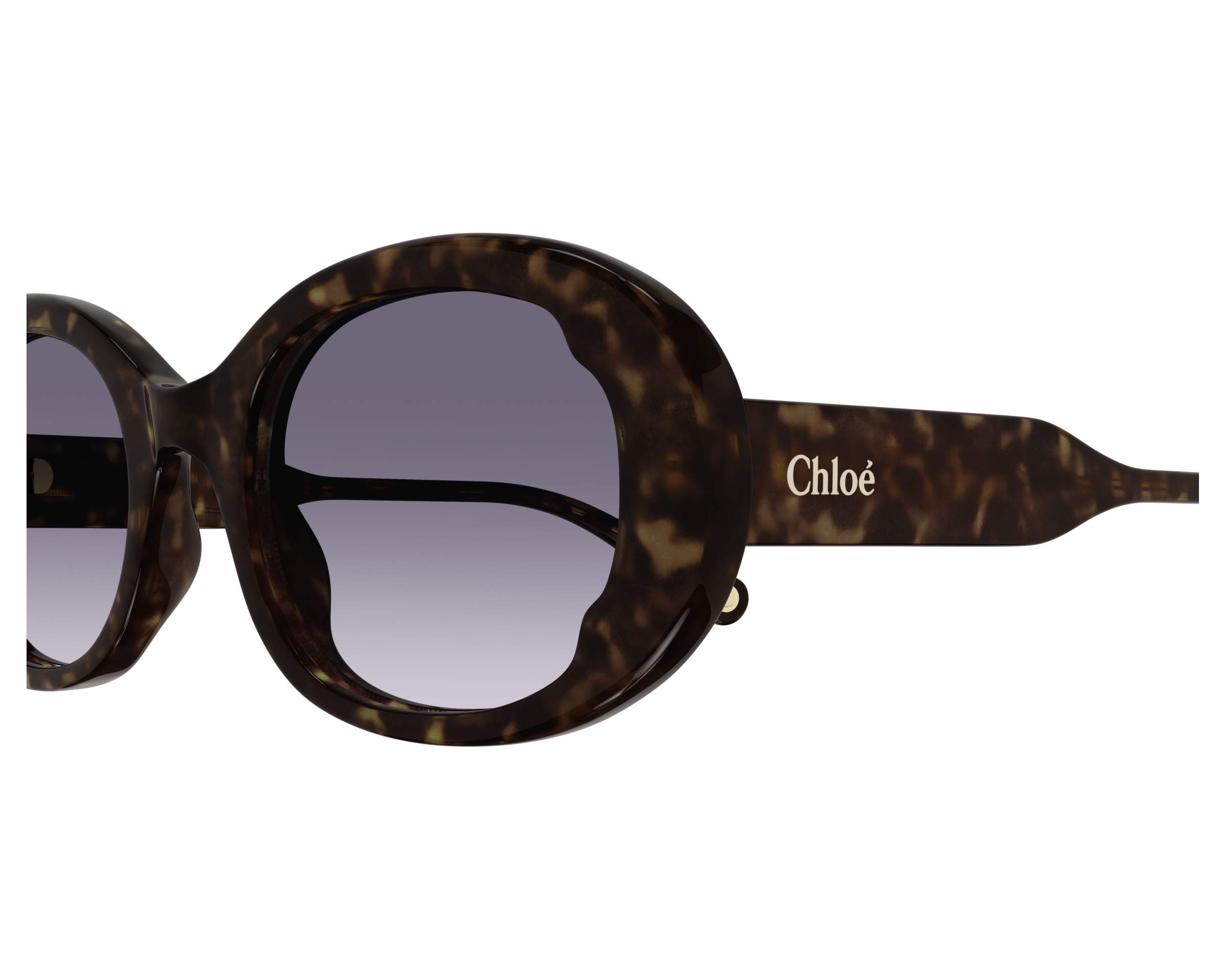 Chloe アイウェア ラウント フレム サンクラス CH0197S 002 Chloe アイウェア ラウント フレム サンクラス CH0197S 002
