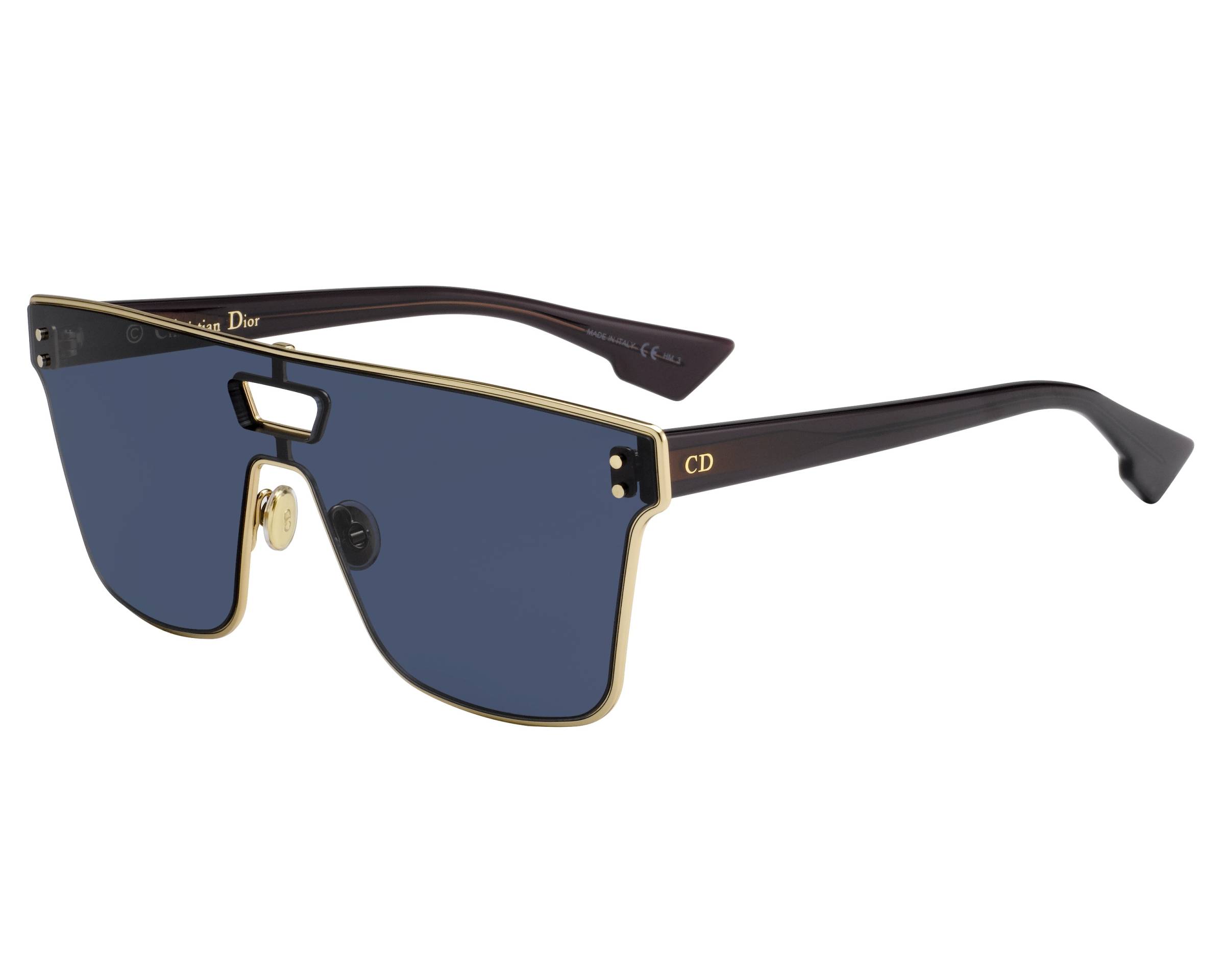 diorizon 1 sunglasses