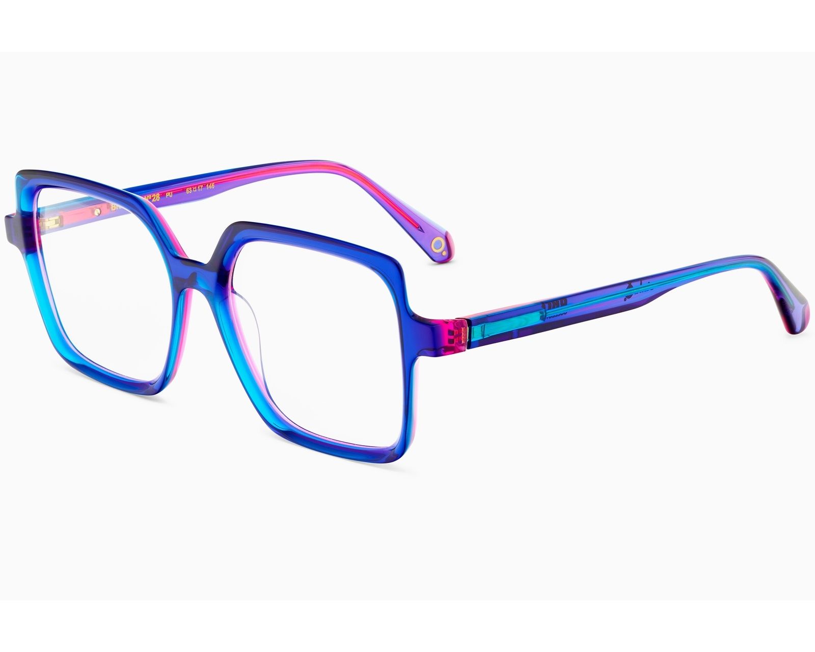 Etnia Barcelona BRUTAL NO28 PU 53-17 Prune Violet front view