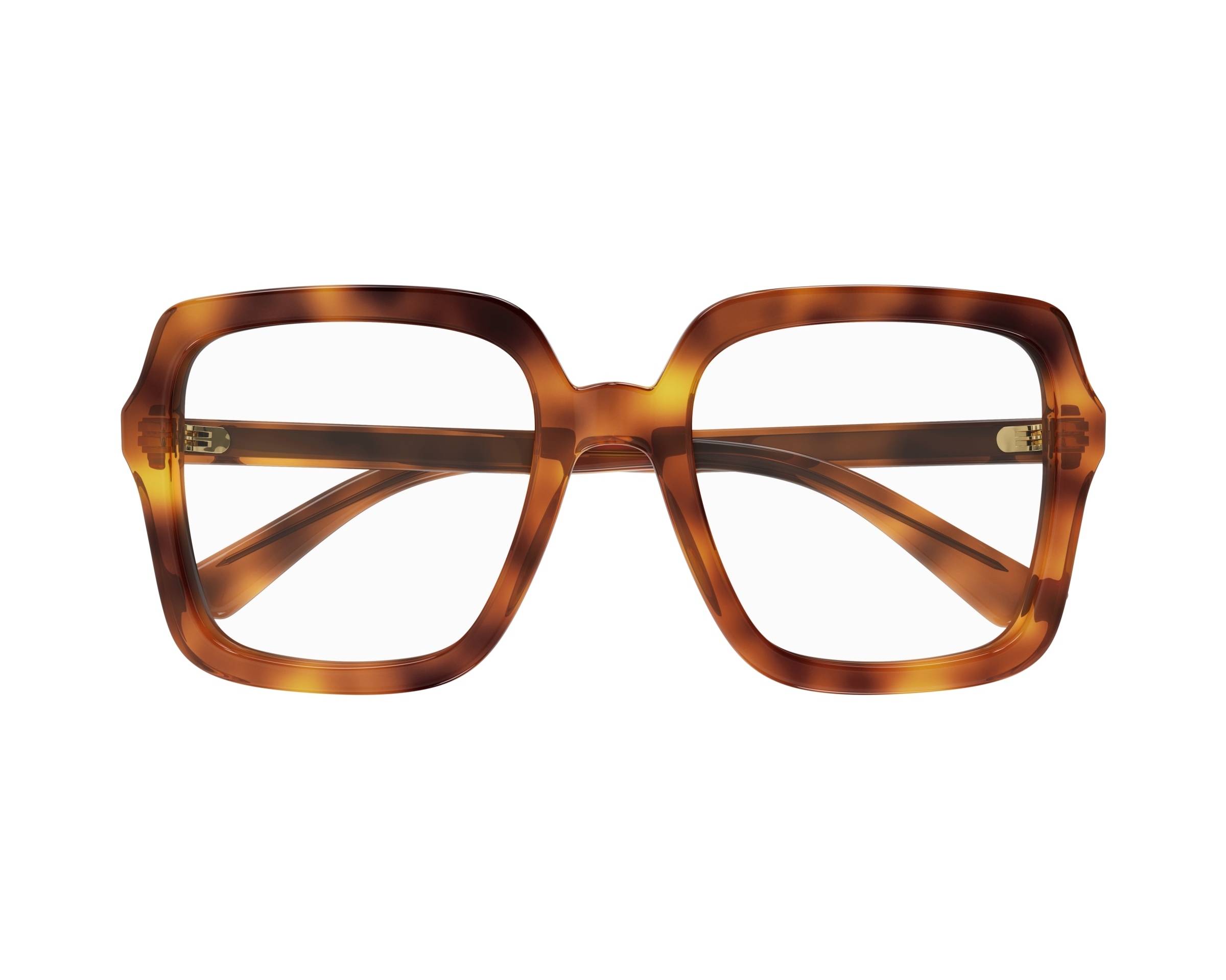 Gucci Glasses GG1318O 002