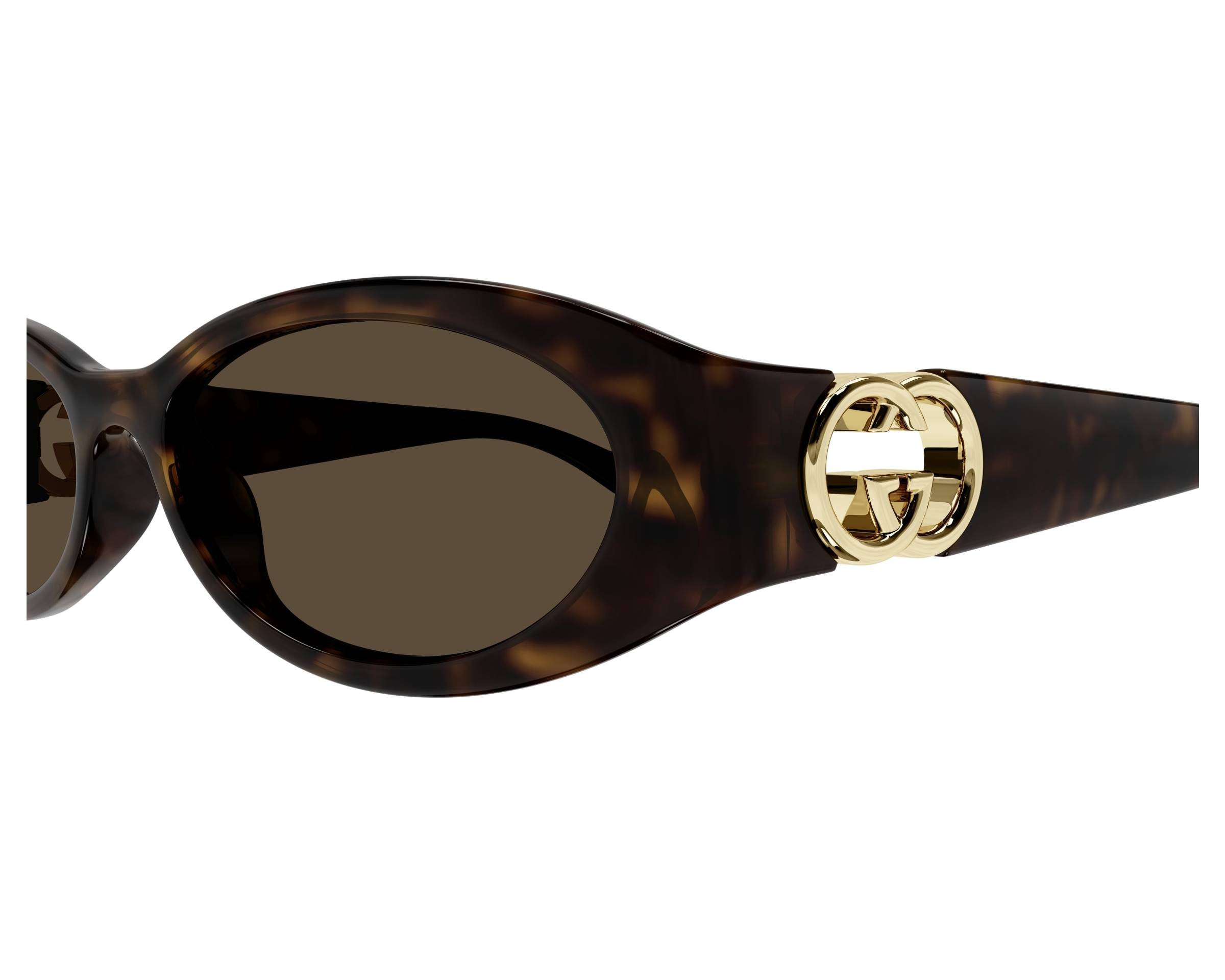 Gucci GG1660S 002 54-16 Havane  side view