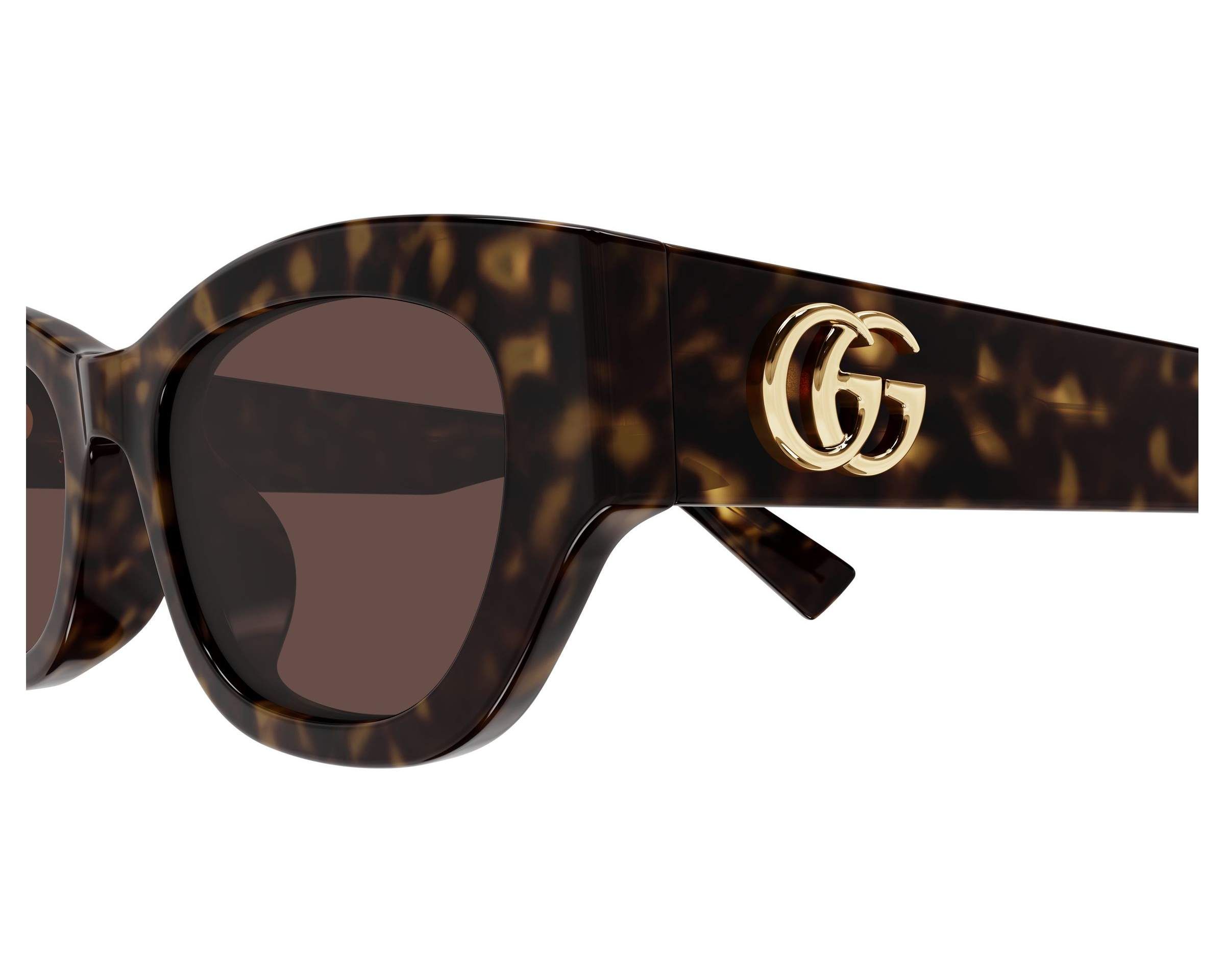 Gucci GG1954SA 002 53-20 Havana  side view