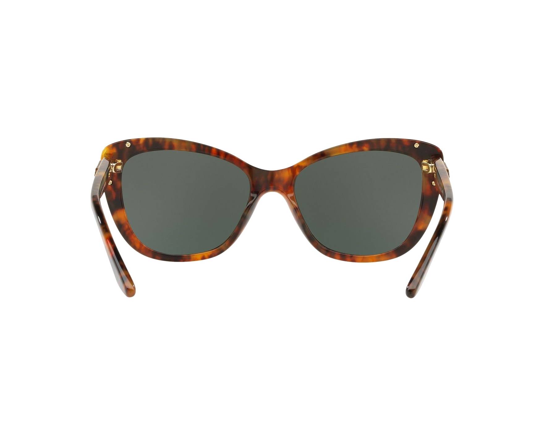 Ralph Lauren Sunglasses RL-8171 501771