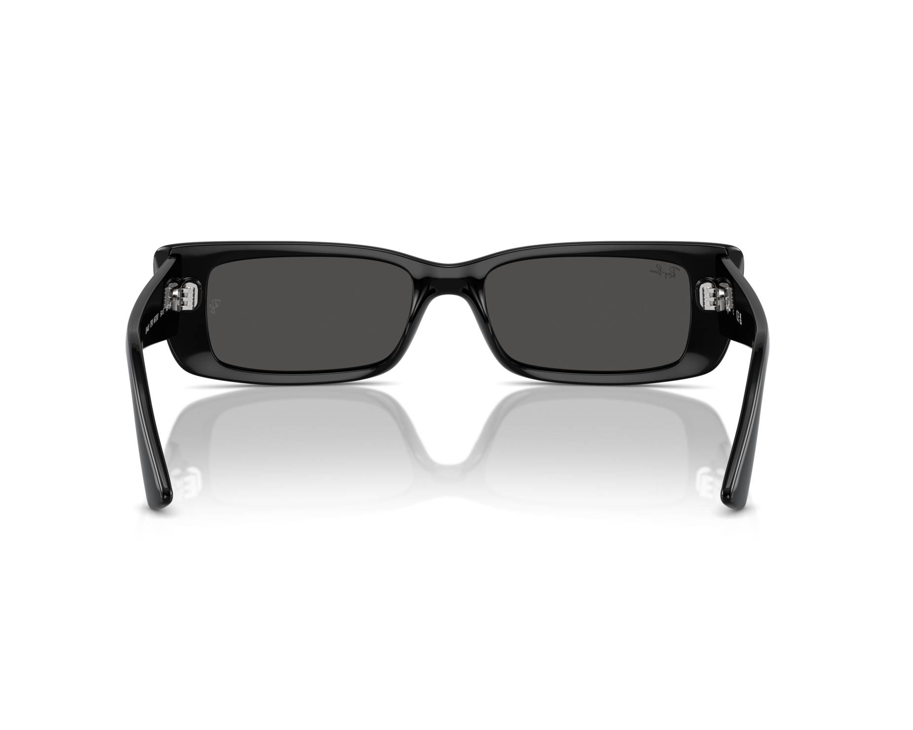 Ray-Ban RB4425 667787 - Black  360 degree view 2