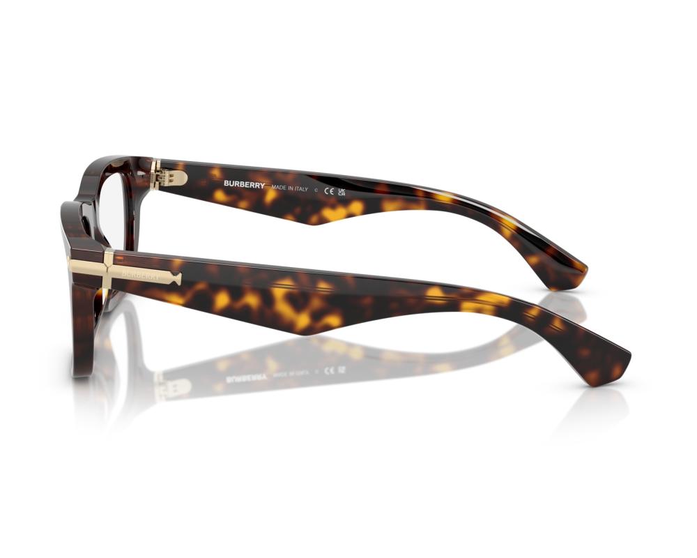 Burberry Burberry BE2419 3002 53-19 Brown  360 degree view 1