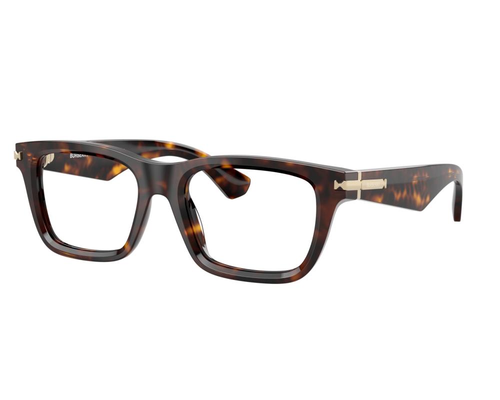 Burberry Burberry BE2419 3002 53-19 Brown  360 degree view 7