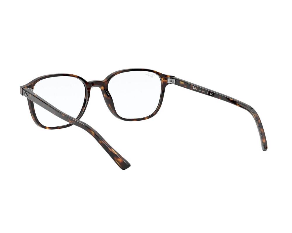 Ray-Ban Glasses Leonard RX5393 2012