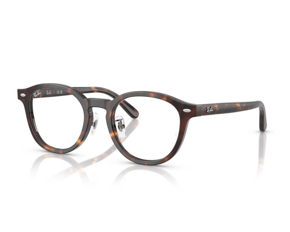 Ray-Ban Glasses RX5443D 2012